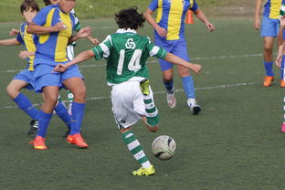 米兰体育官网-上海申花再遭柔佛新山逆转,1-3失利痛失连胜机会